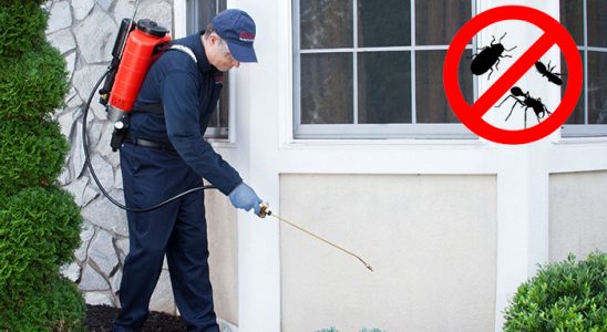 Karatay Karınca İlaçlama böcek ilaçlama ve haşere kontrolü — ilaclama-tr.com